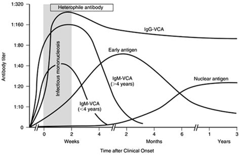 ebv testing history